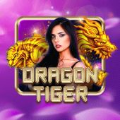 Dragon Tiger AAAJILI Login App